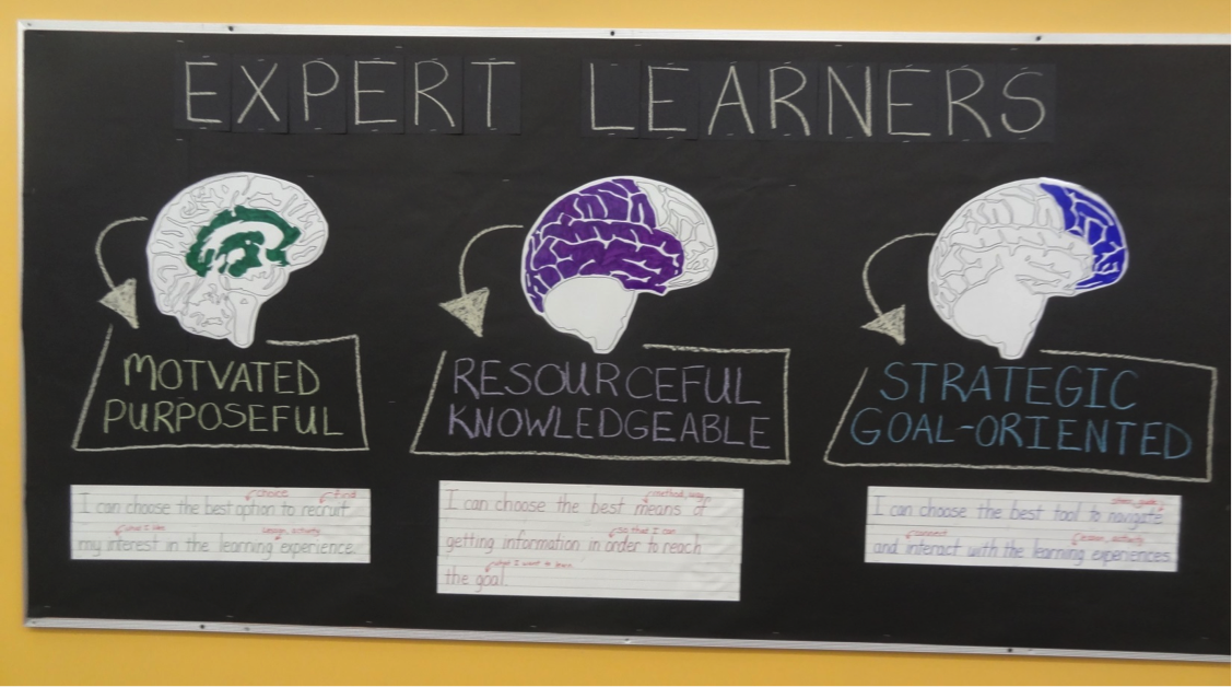 expert learners