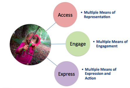 access engage express