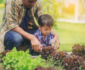 learning activities at home