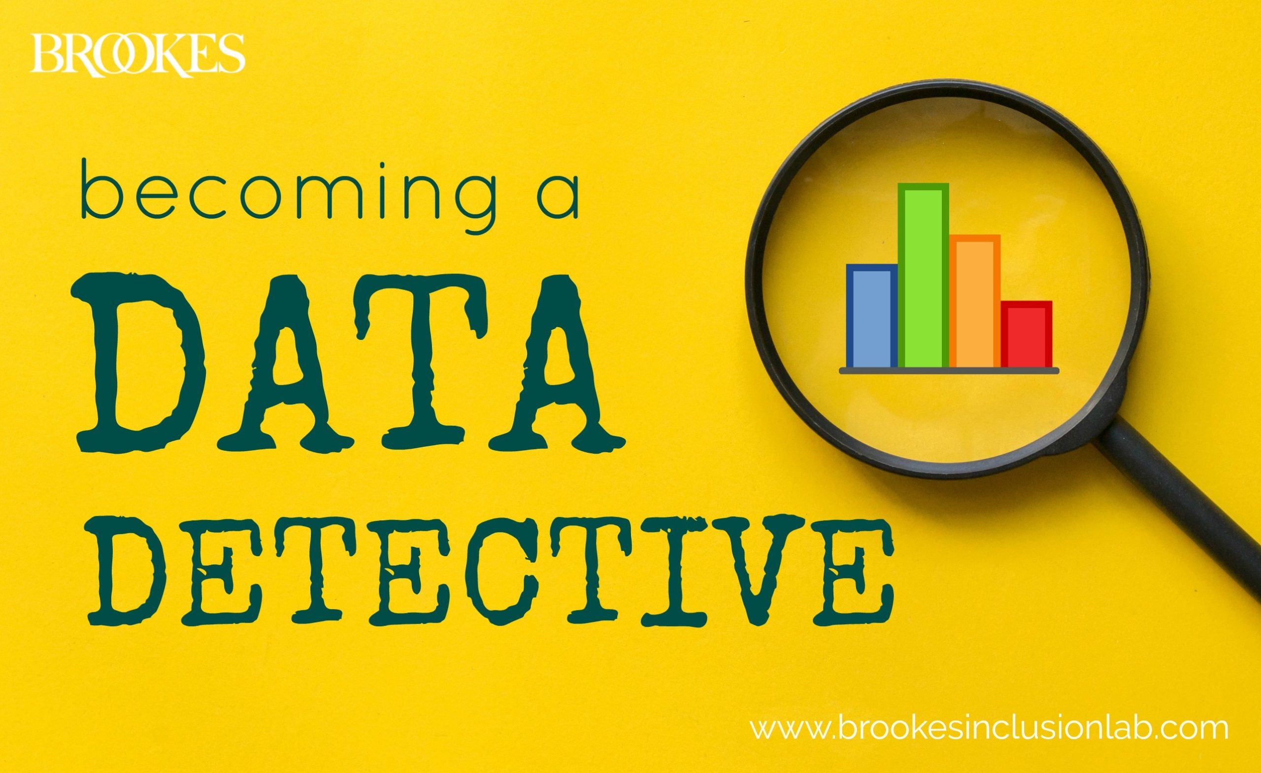 the data detective book