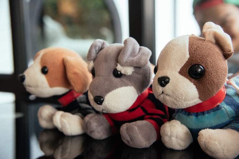 11 Fun Animal Activities That Encourage Early Language & Literacy ...